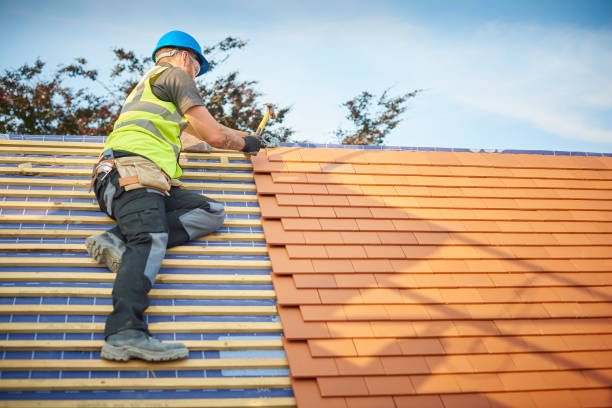 Best Sheet Metal Roofing  in Reedspt, OR